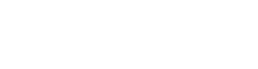 Brasileira de Franchising